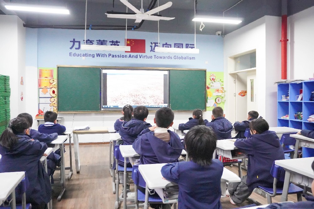 羡慕了，力迈学生有自己的“电影日”！