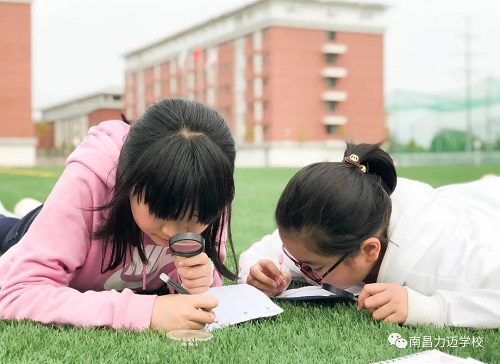 南昌力迈学校
